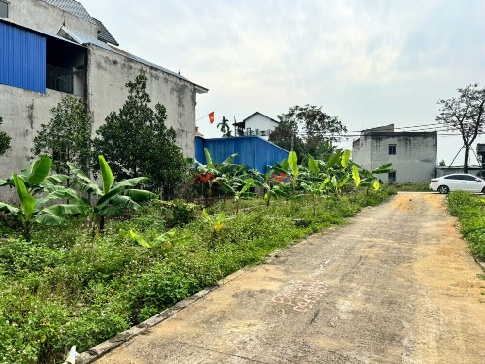 48m  Cây Đa – Mỹ Lương – Mỹ Lương