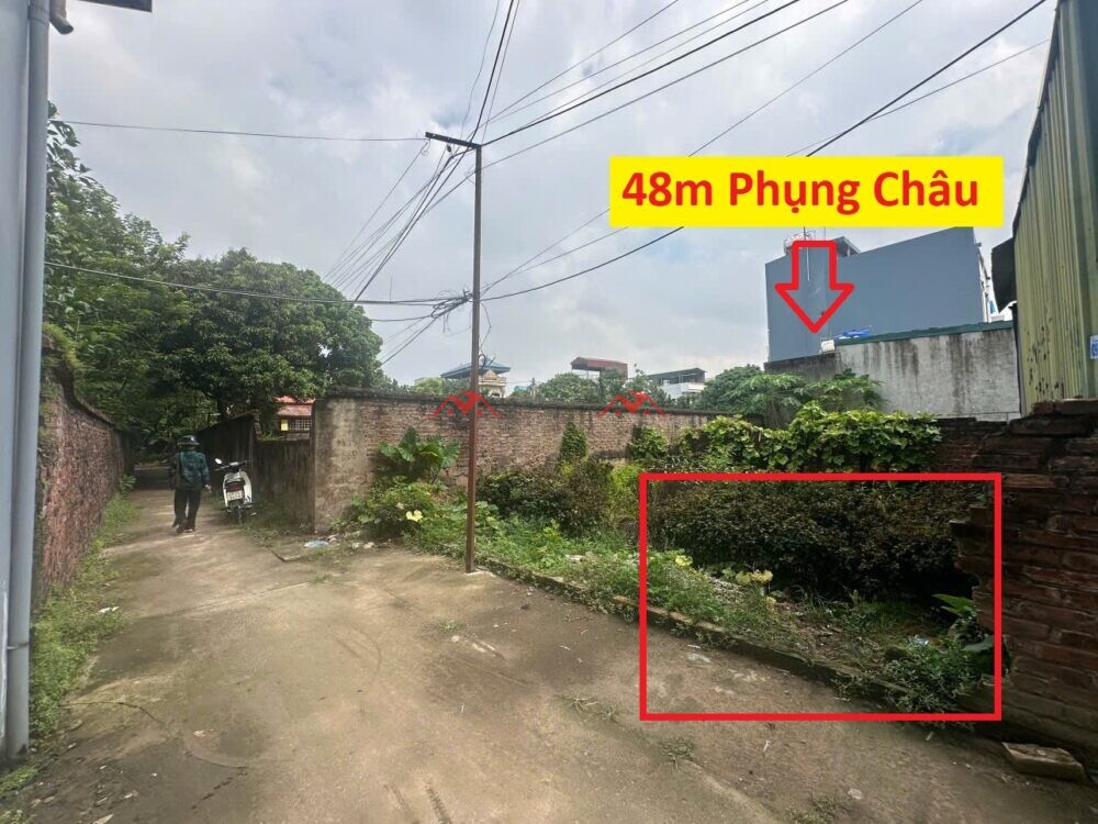 48m T224 Phượng Đồng – Phụng Châu – Chương Mỹ