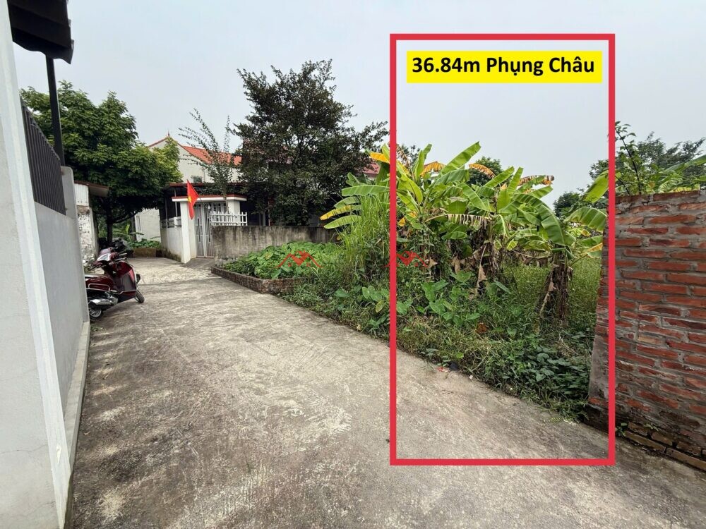 36.84m Long Châu – Phụng Châu – Chương Mỹ – Hà Nội