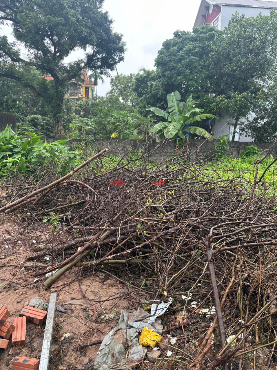 190.75m  Phượng Đồng – Phụng Châu – Chương Mỹ – Hà Nội