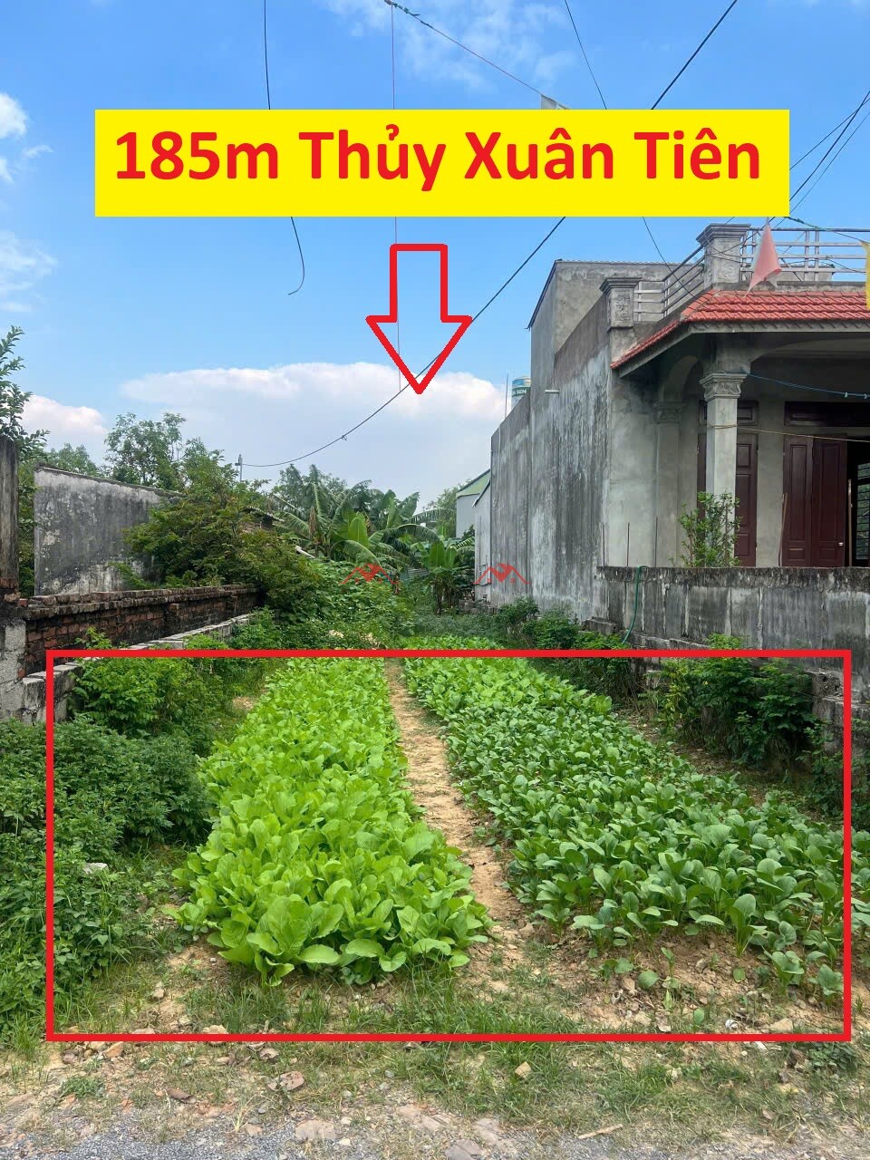 185m Gò Cáo – Thuỷ Xuân Tiên – Chương Mỹ – Hà Nội