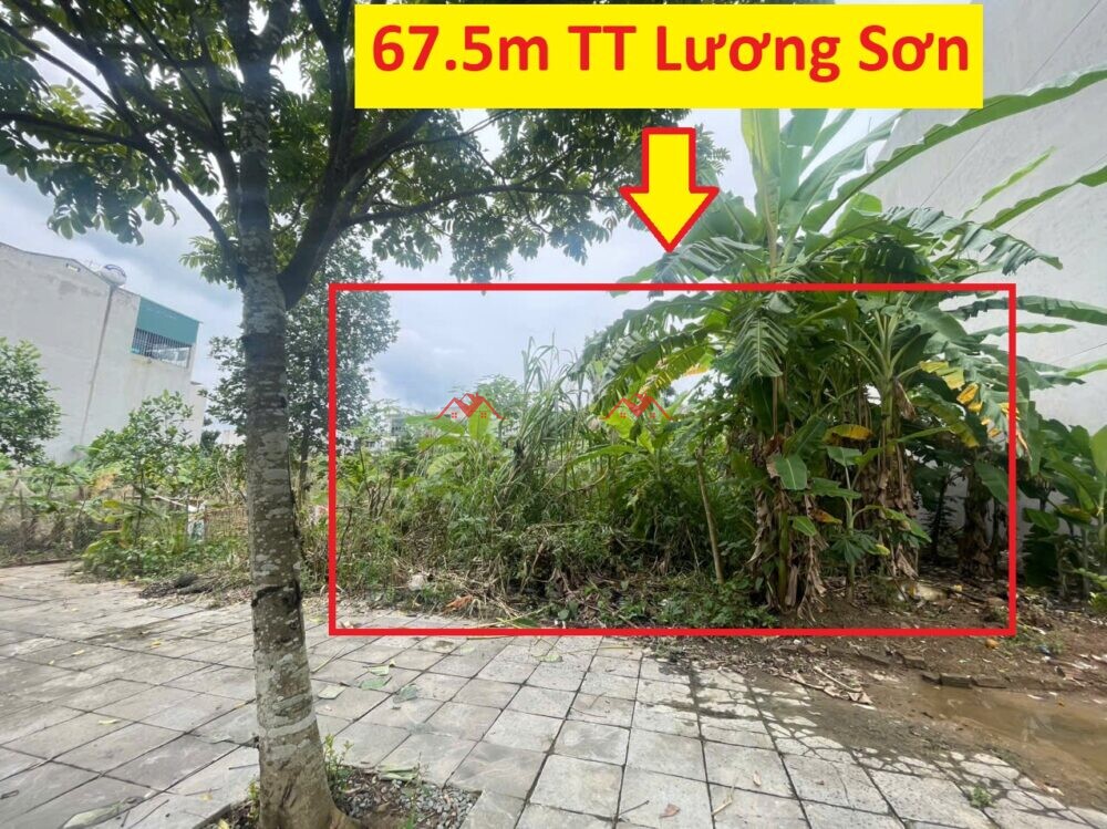 67.5m Thửa 564 – TT Lương Sơn – Hoà Bình