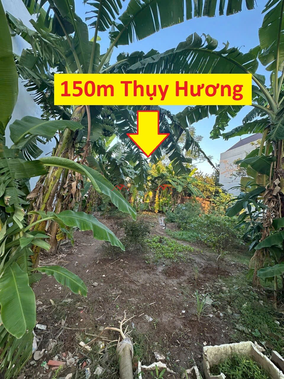 150m Phú Bến – Thuỵ Hương – Chương Mỹ – Hà Nội