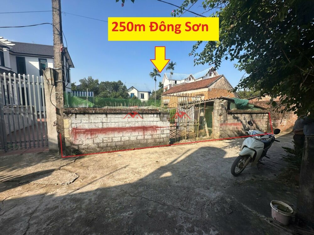 250m Đông Cựu – Đông Phương Yên – Chương Mỹ – Hà Nội