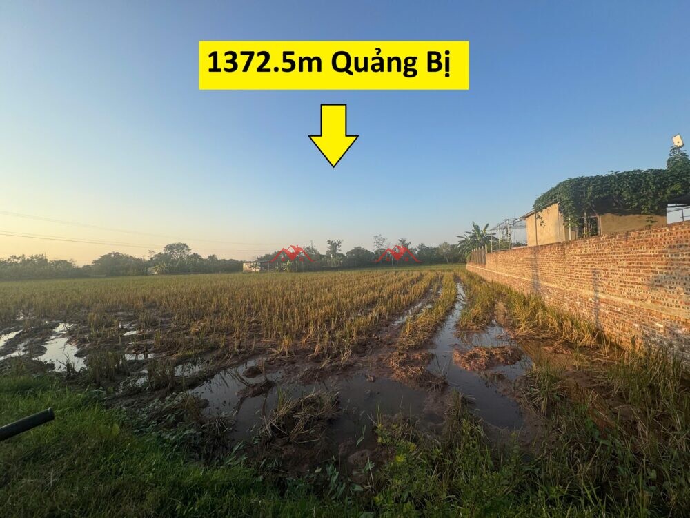 1372.5m Xứ Đồng Cõi Trong – Quảng Bị – Chương Mỹ