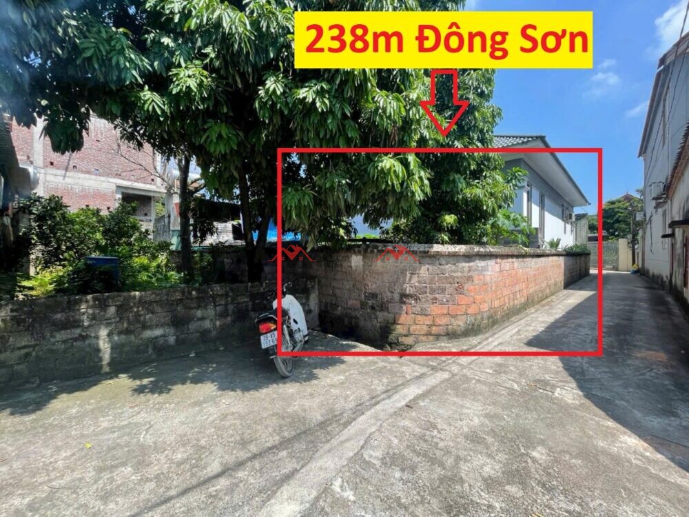 238m Thanh Trì – Đông Sơn – Chương Mỹ – Hà Nội