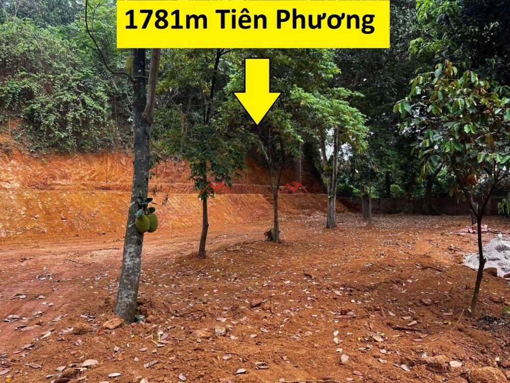 1781m Đồng Nanh – Tiên Phương – Chương Mỹ