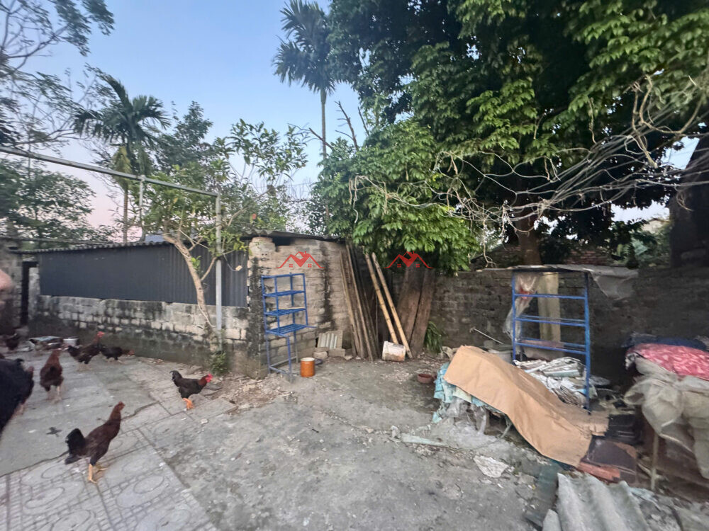 100m Hồi Triệu – Đồng Lạc – Chương Mỹ