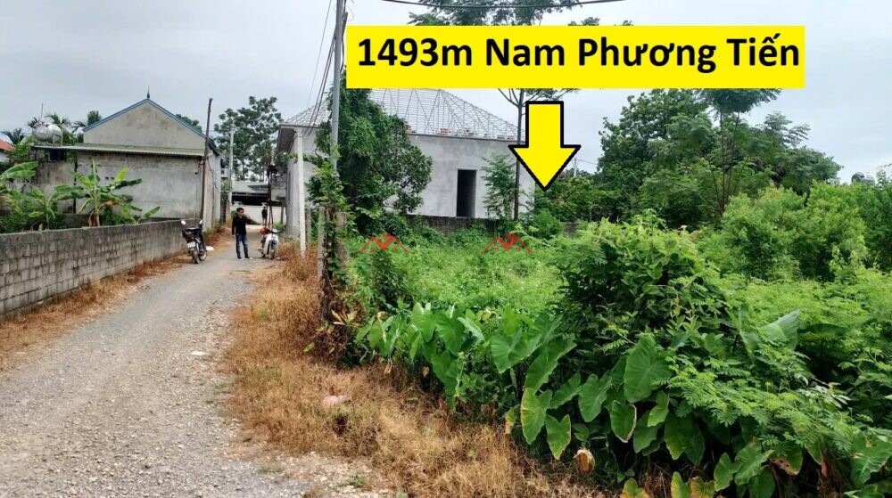 1493m Hạnh Cồn – Nam Phương Tiến – Chương Mỹ