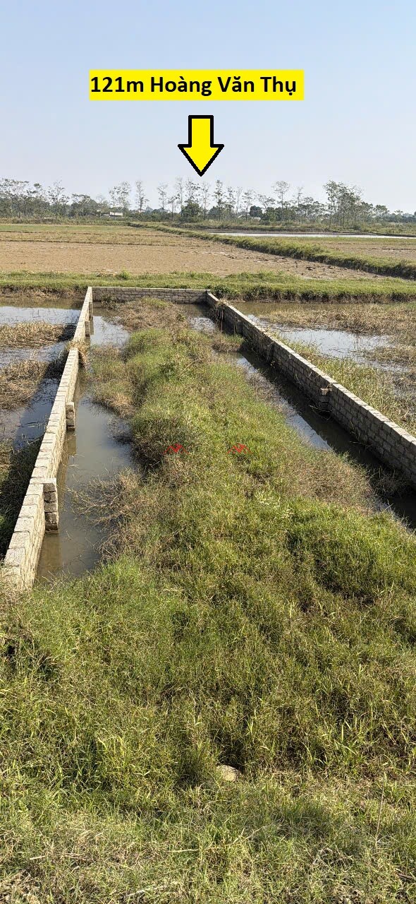 100m T21 Trũng Mẹt – Thuần Lương – Hoàng Văn Thụ – Chương Mỹ – Hà Nội