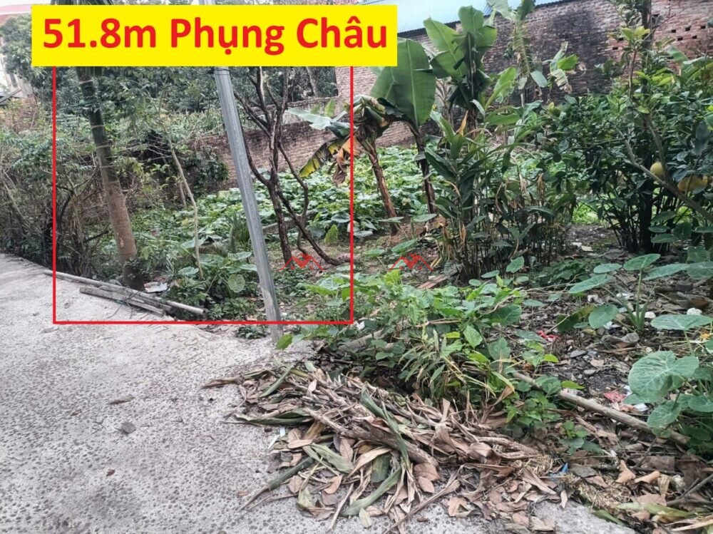 51.8m Phượng Đồng – Phụng Châu – Chương Mỹ – Hà Nội