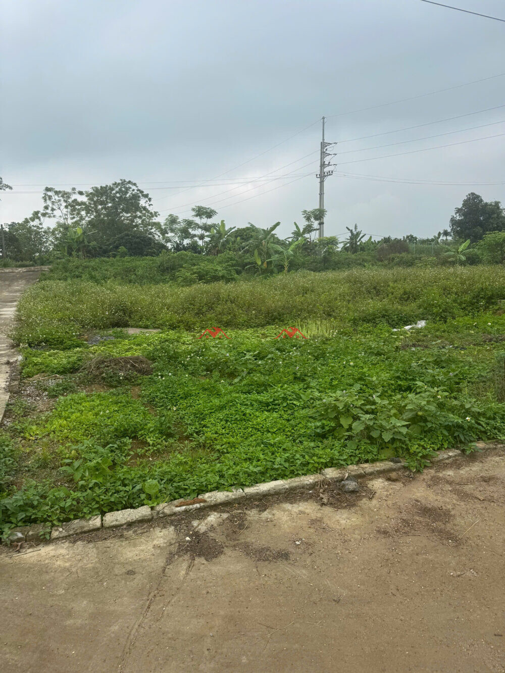 489m Tân Hội – Tân Tiến – Chương Mỹ – Hà Nội
