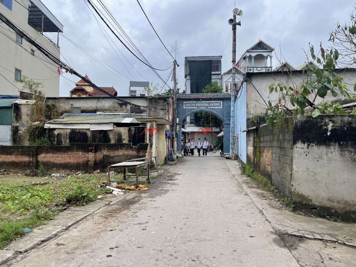 Phượng Đồng. Phụng Châu. Chương Mỹ