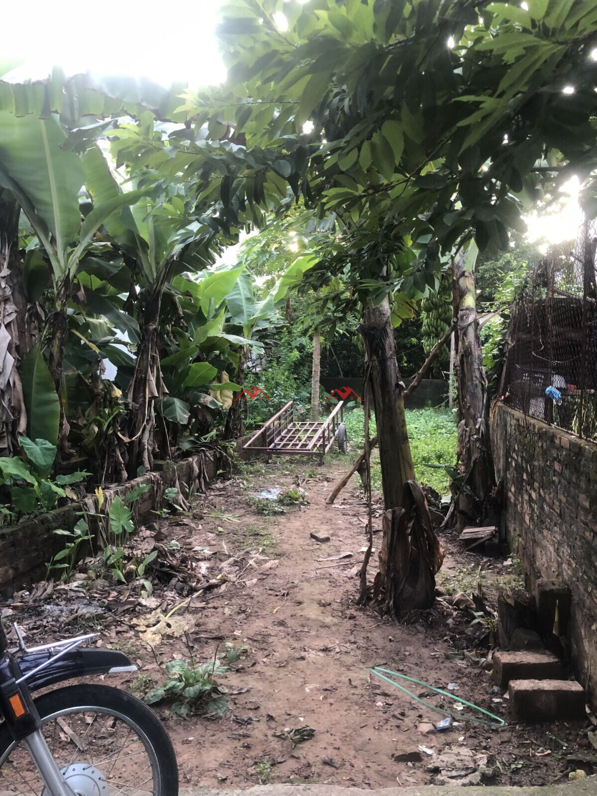 67m Phượng Nghĩa – Phụng Châu – Chương Mỹ – Phụng Châu