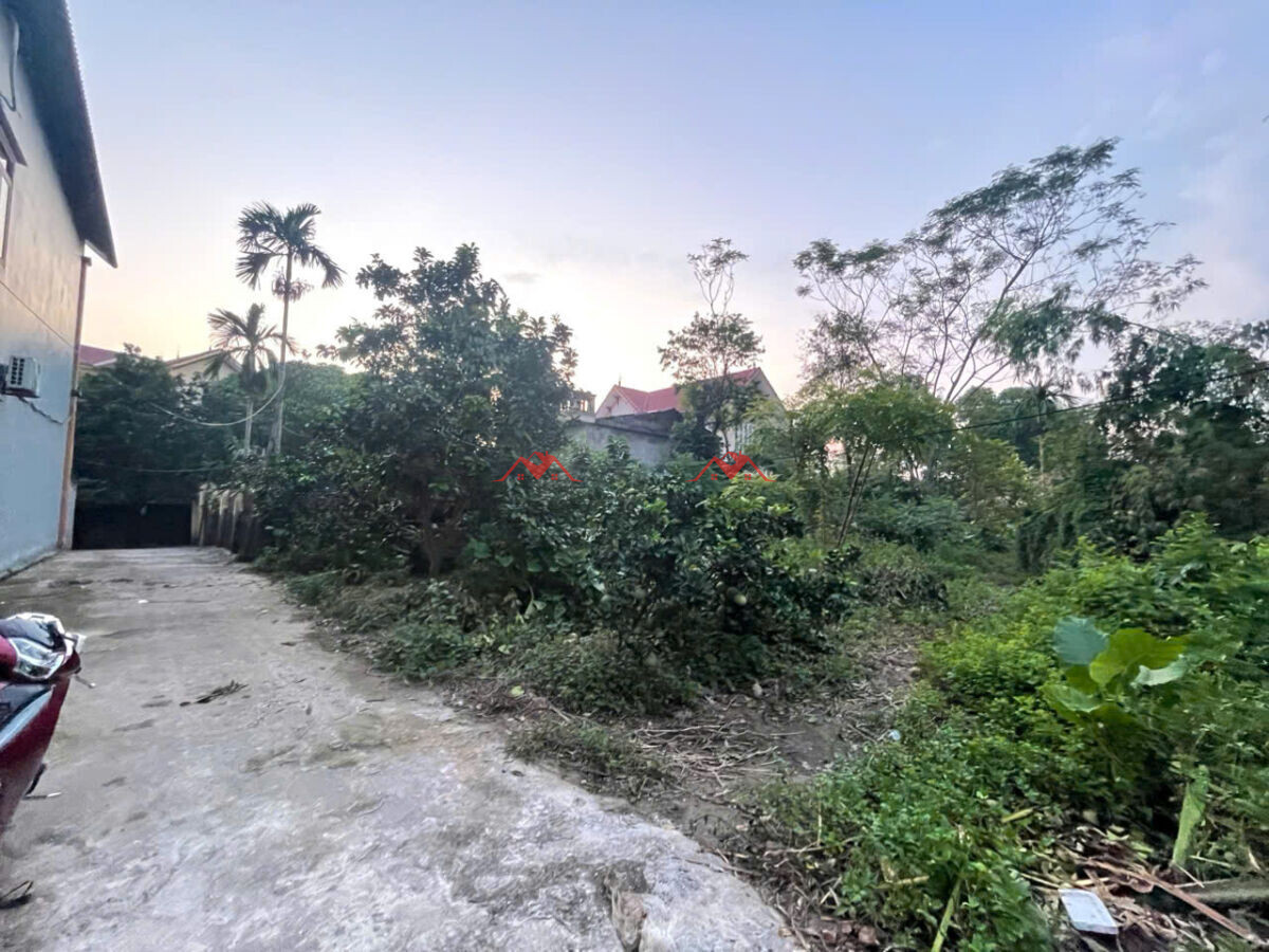 55,6m Thanh Bình – Chương Mỹ – Hà Nội