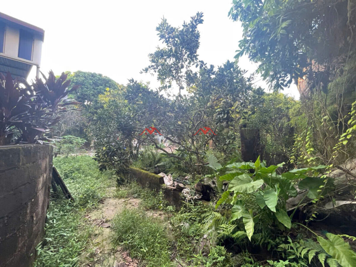 35m – Phượng Nghĩa – Phụng Châu – Chương Mỹ – Hà Nội