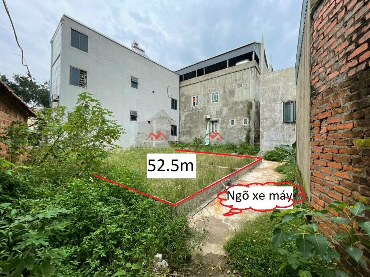 52.5m Thôn Phú Hữu 2 – Phú Nghĩa – Chương Mỹ – Hà Nội