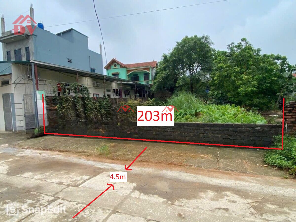 203m Phú Nghĩa.Chương Mỹ .Hà Nội