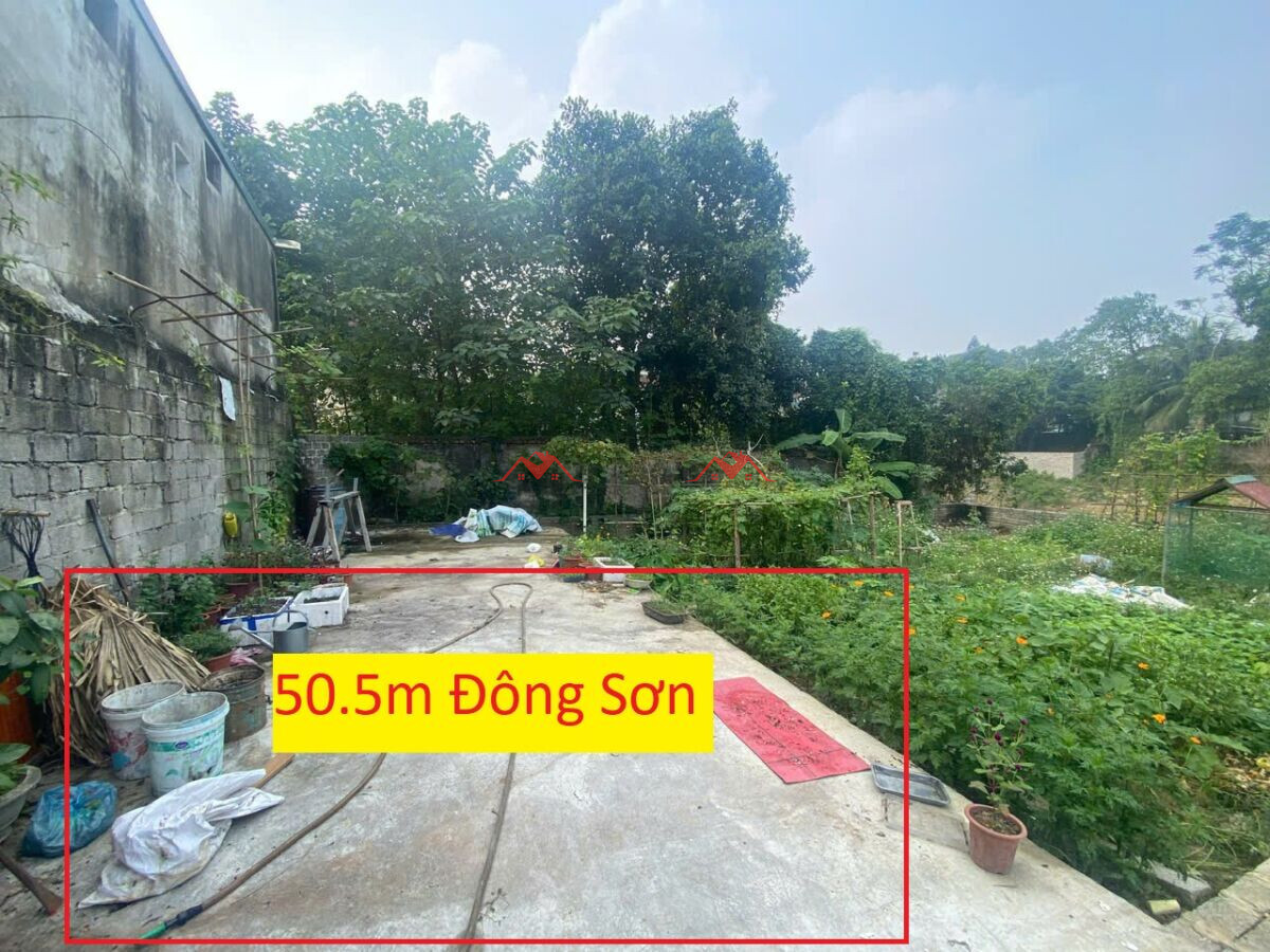 50.5mThôn Thanh Trì – Đông Sơn – Chương Mỹ – Hà Nội