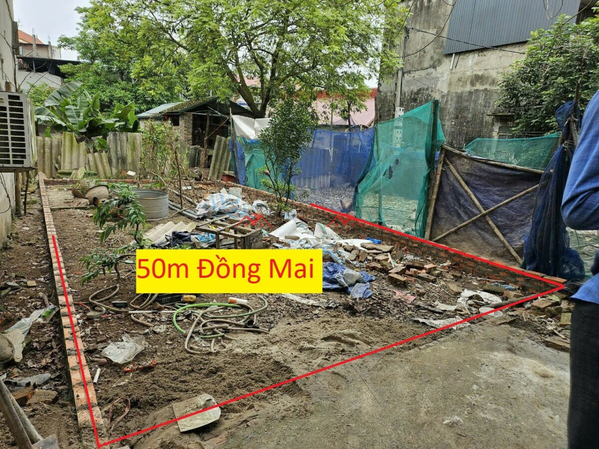 50m Tổ 17 – Đồng Mai – Hà Đông – Hà Nội