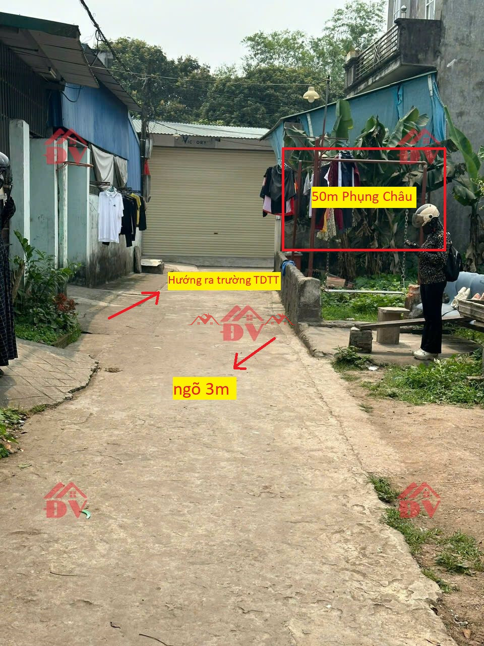 50m – Phụng Châu – Chương Mỹ – Hà Nội