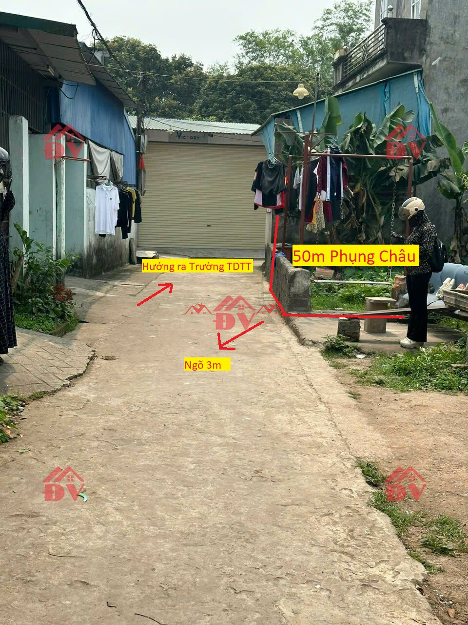 50m – Phụng Châu – Chương Mỹ- Hà Nội